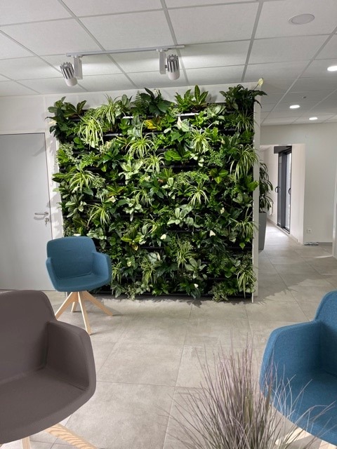 Paysagisme intérieur